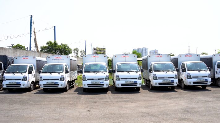 học bằng lái xe c1